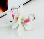 Hvid dobbelt orkide hårclips